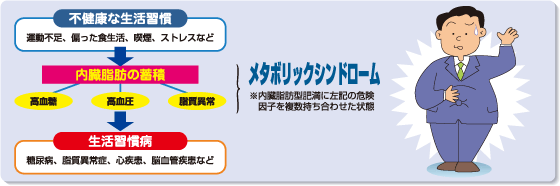 イラスト：不健康な生活習慣→内臓脂肪の蓄積＝メタボリックシンドローム→生活習慣病